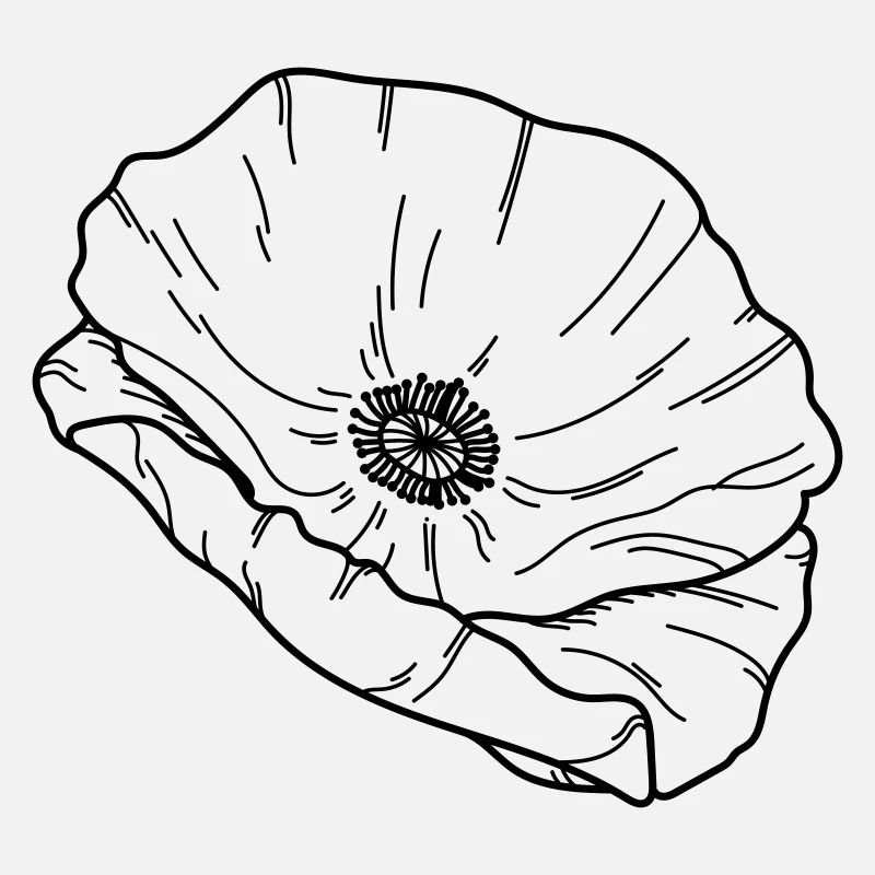 Fleur de pavot Fleur