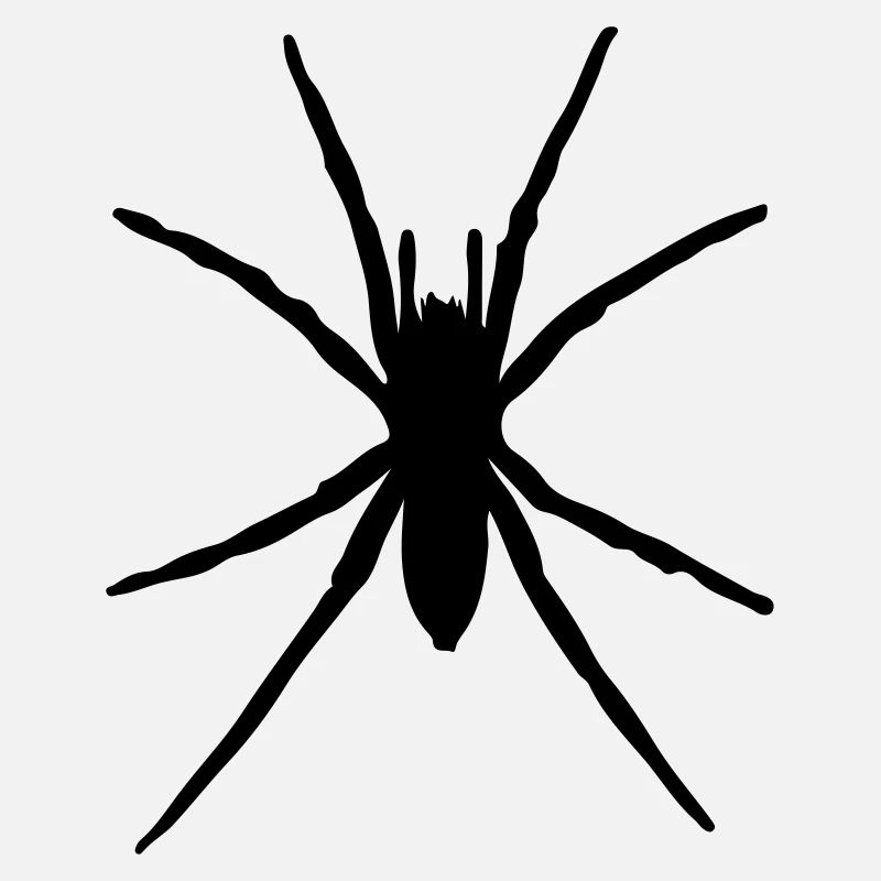 spider silhouette