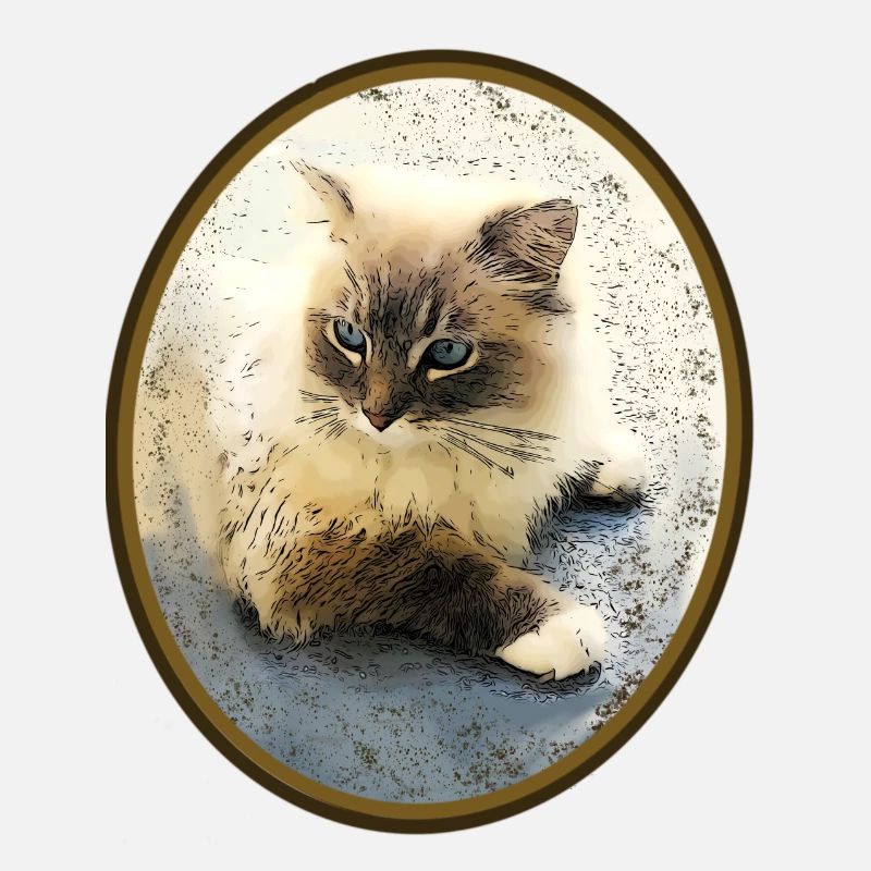 Katze