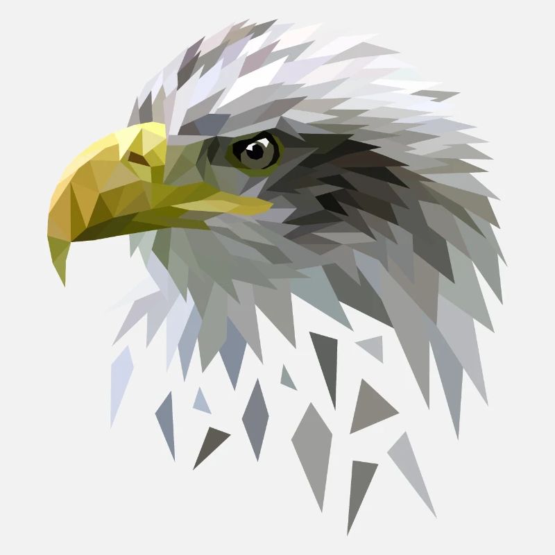 Seeadler Adler Low poly Polygone geometrisch