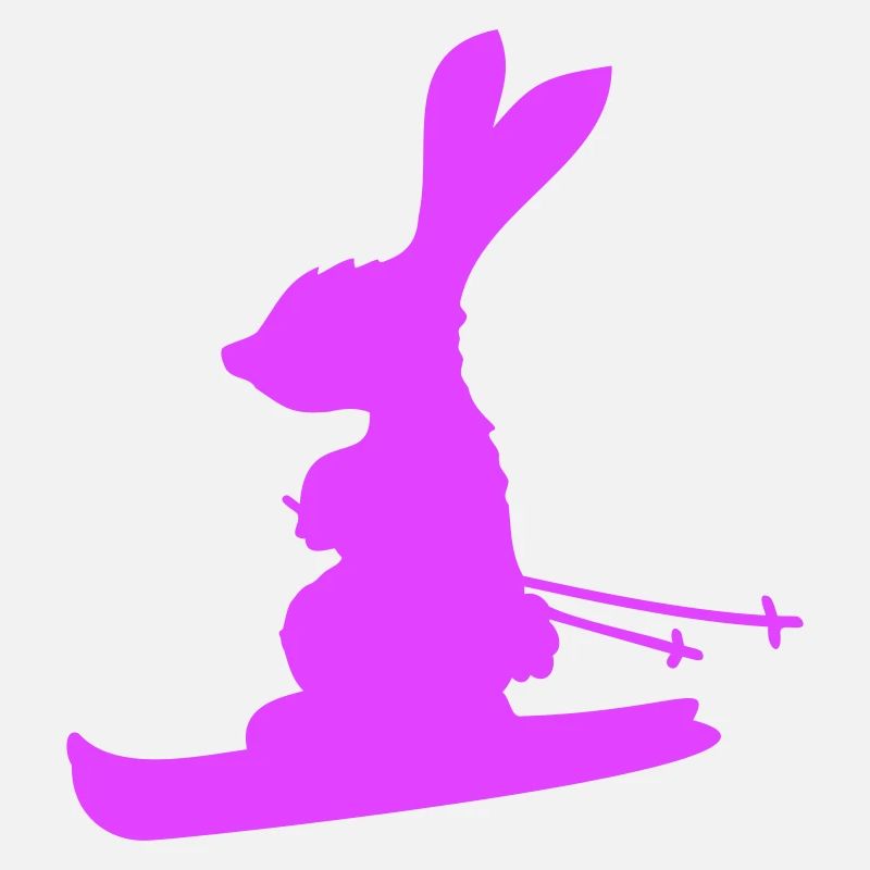 lapin ski lapin ski hiver ski neige