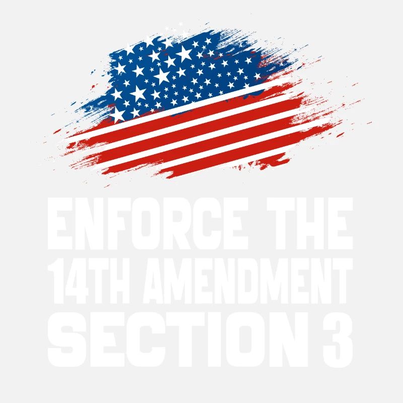 Enforce The 14TH Amendment Section 3