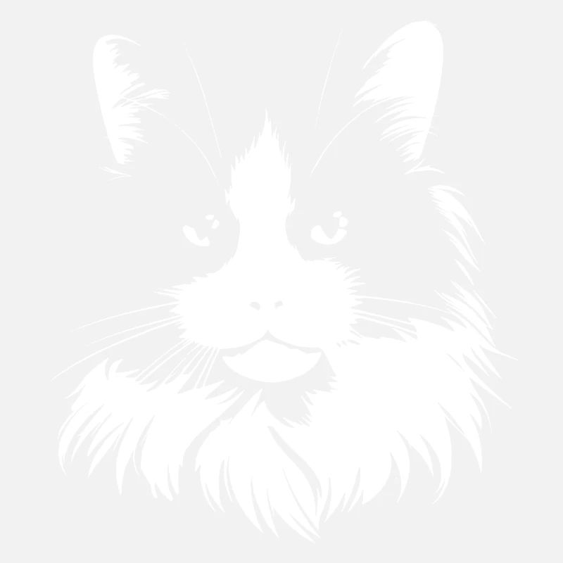 Chat, Motif De Chat