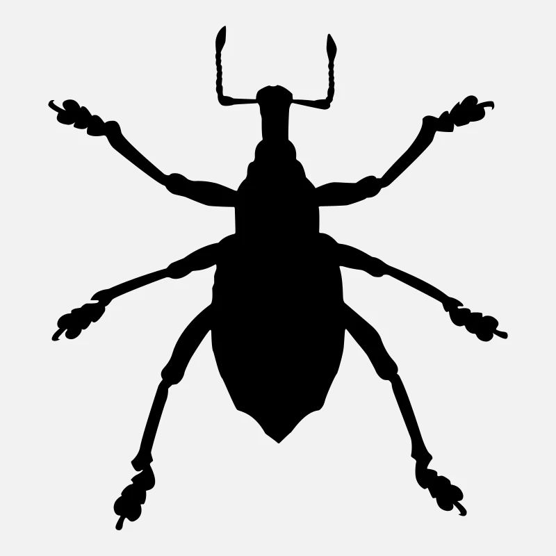 Käfer