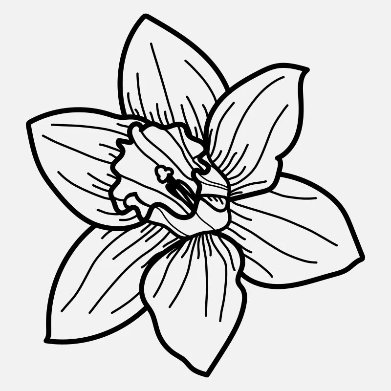 Fleur de jonquille