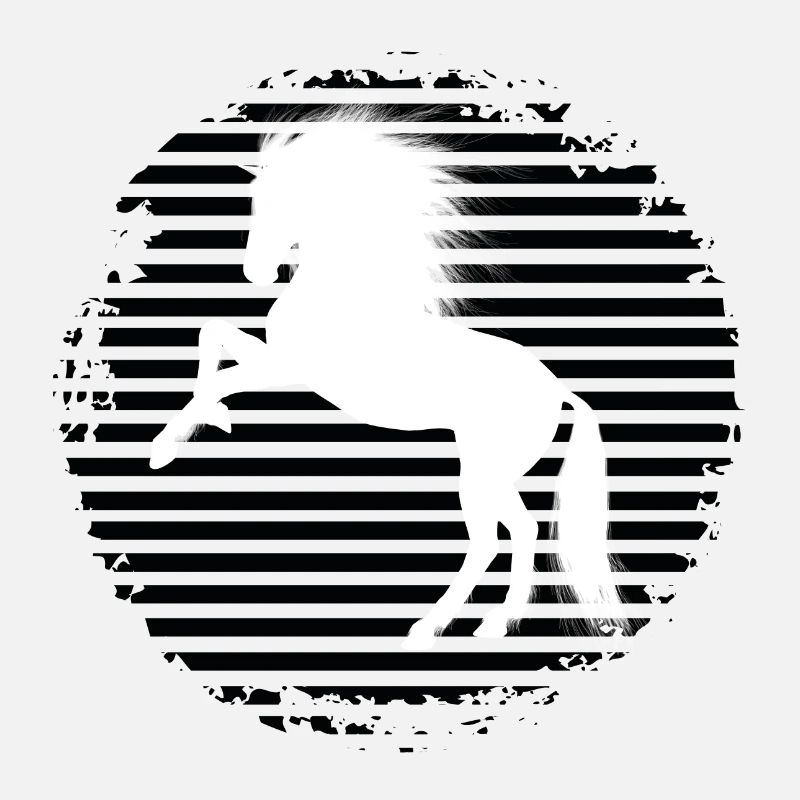 Cheval Noir et Blanc