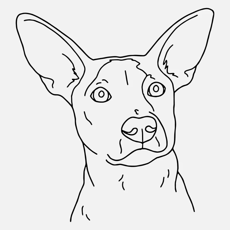 chien