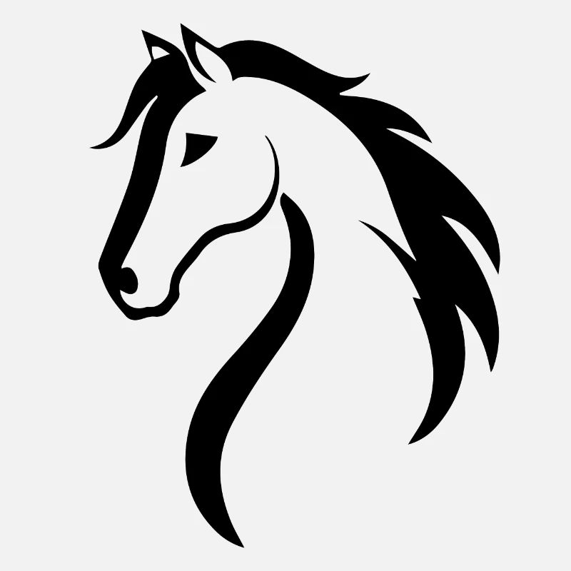 Cheval Chevaux Équitation Cavalier