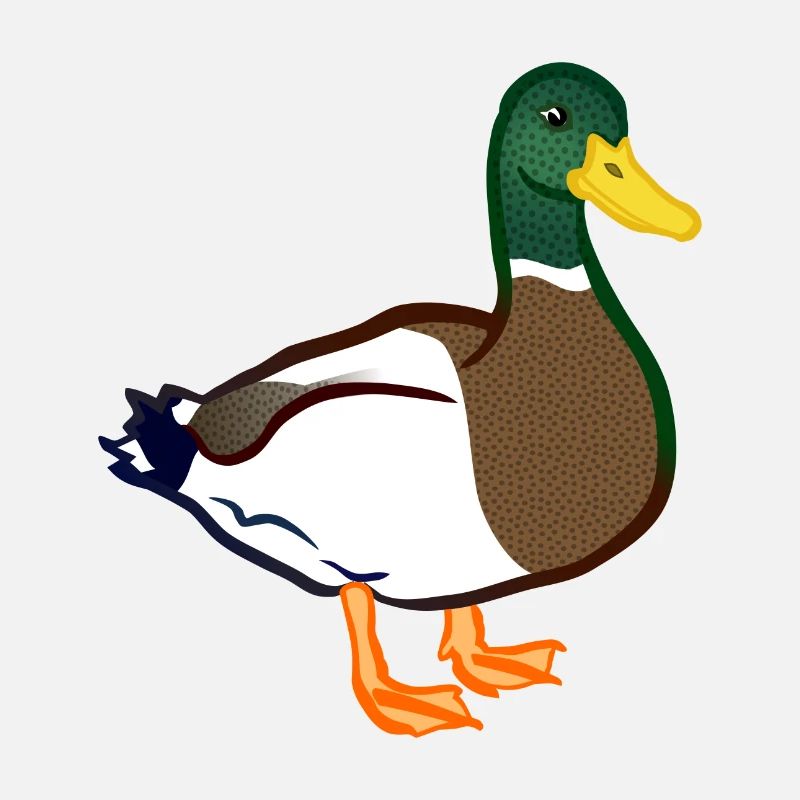 duck117