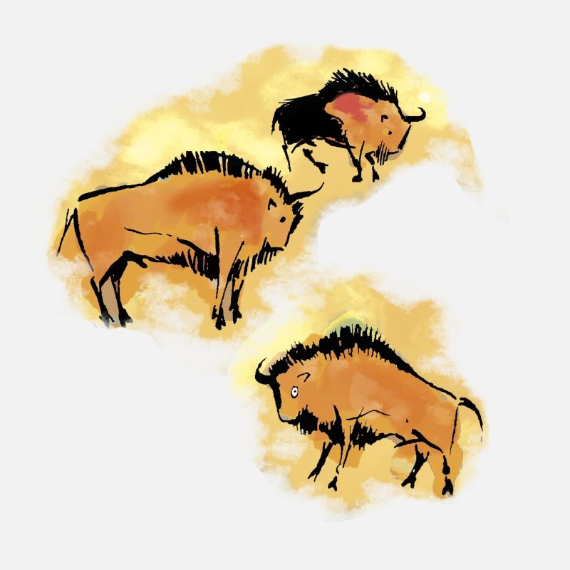 Bison