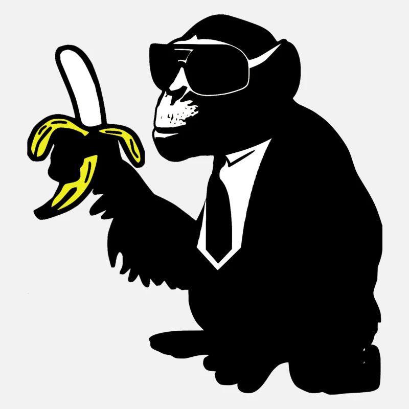 cool monkey karl