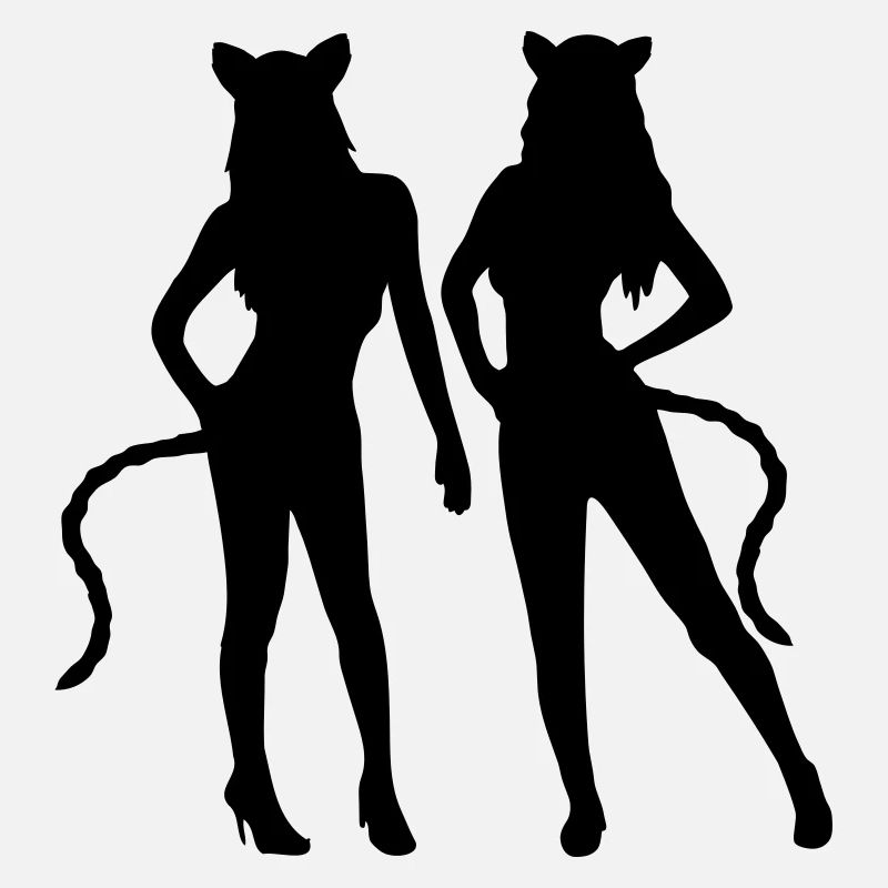 Équipe 2 chats