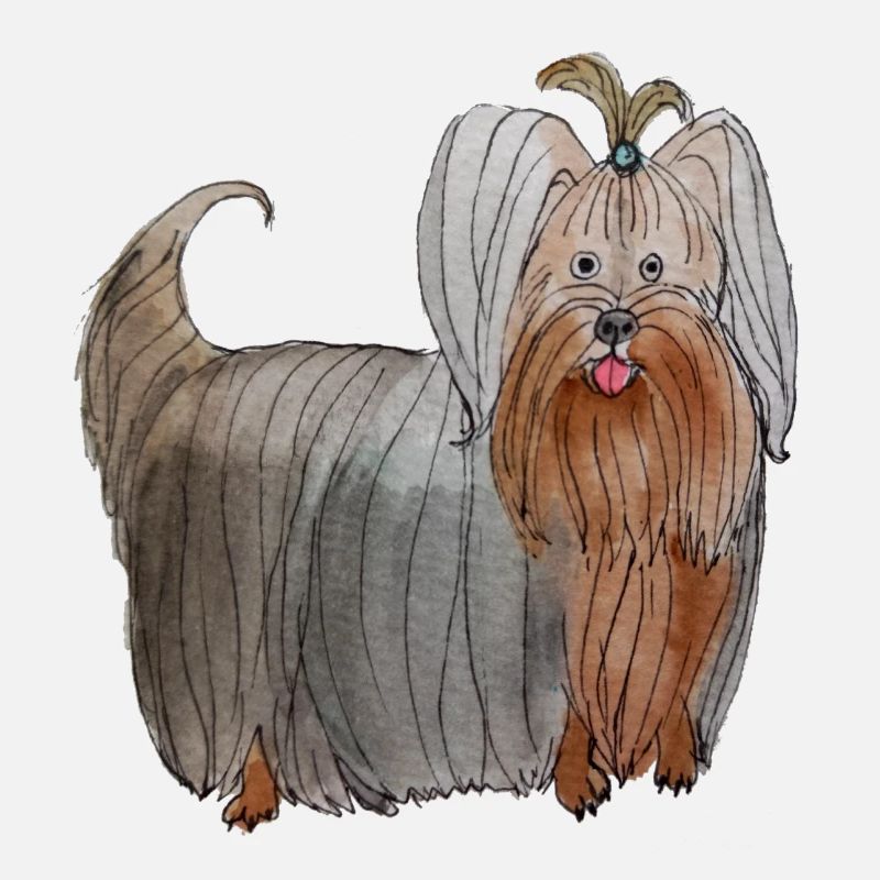 Yorkshire terrier
