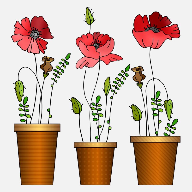Fleur