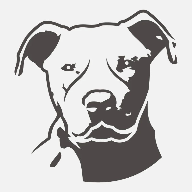 pitbull_head_front