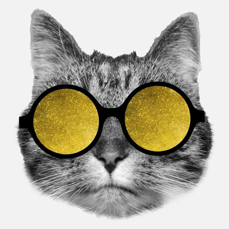 Lunettes de soleil pour chat
