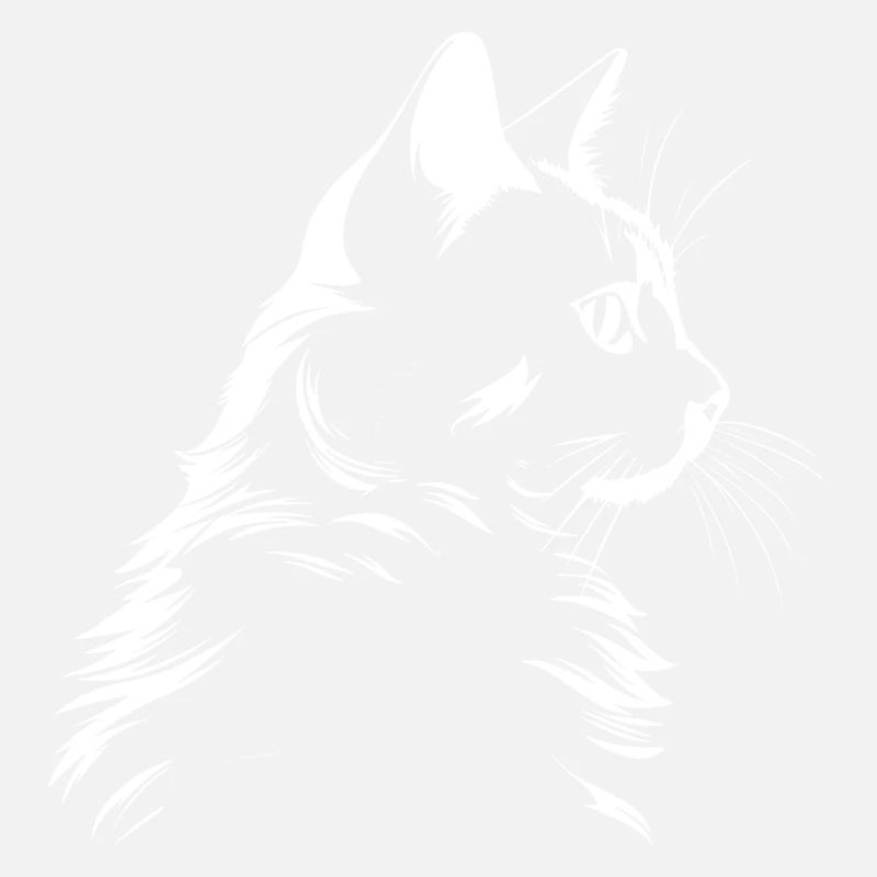 Chat, Motif De Chat