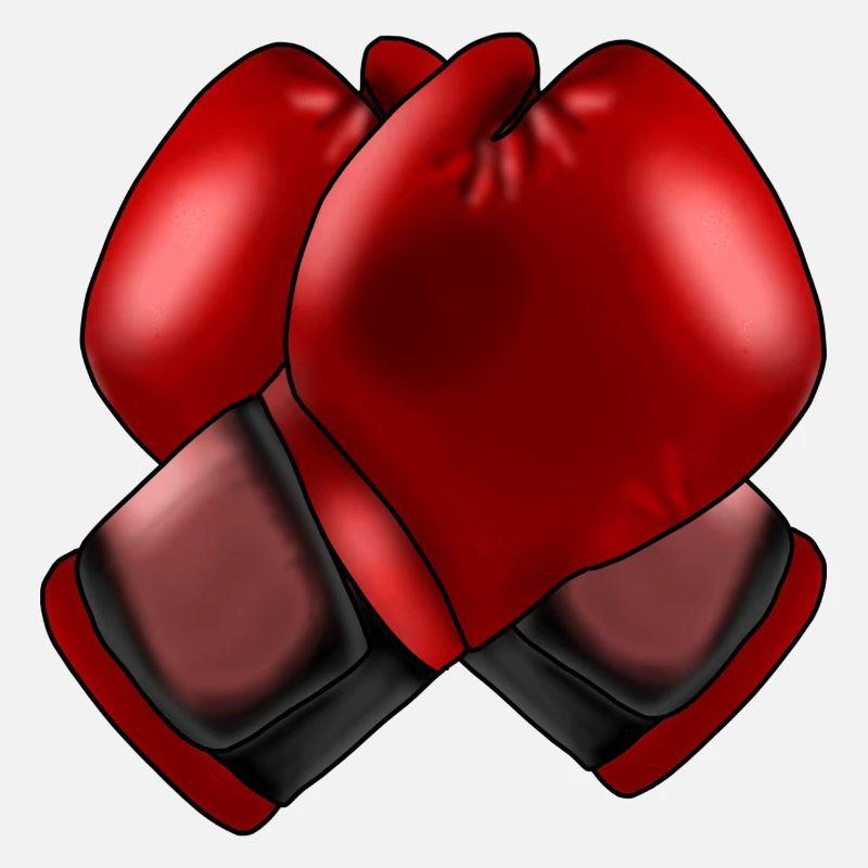 Boxhandschuhe 4