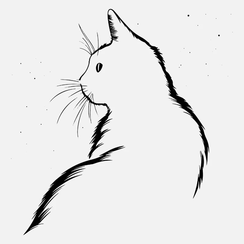 Chat, Motif De Chat