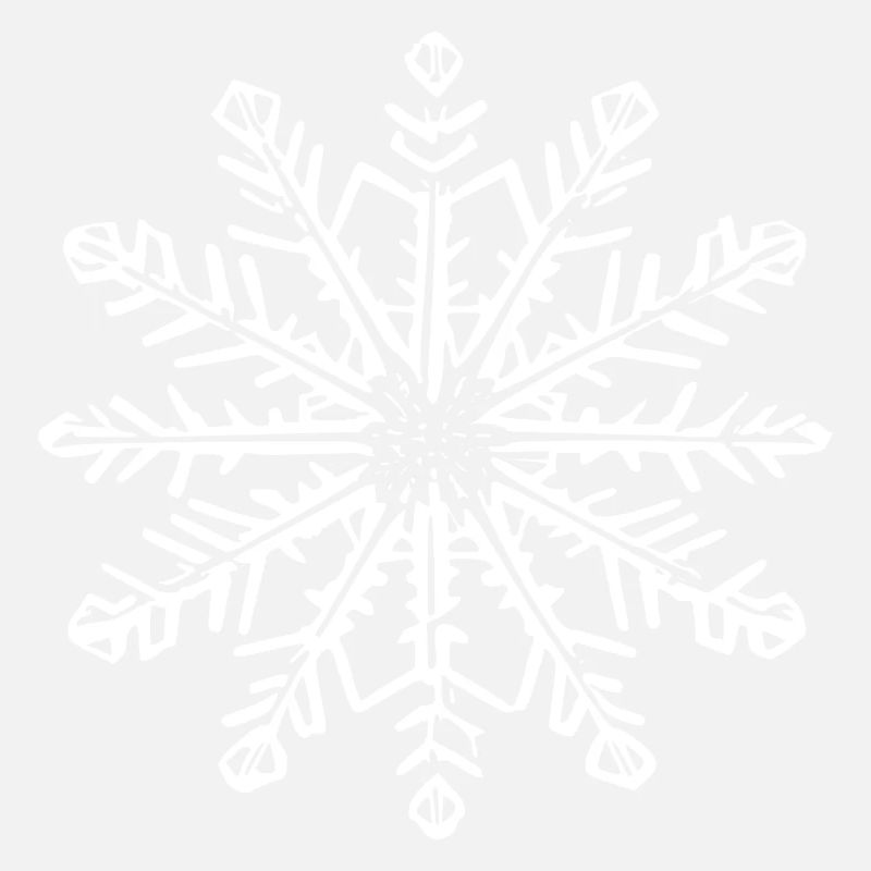 Snowflake Snow Winter Christmas Cold 11