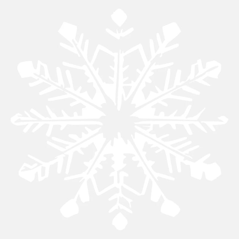 Snowflake Snow Winter Christmas Vector 11