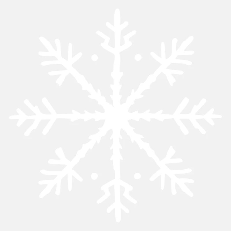 Snowflake Snow Winter Christmas Vector 15