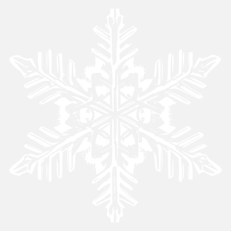 Snowflake Snow Winter Christmas Cold 6