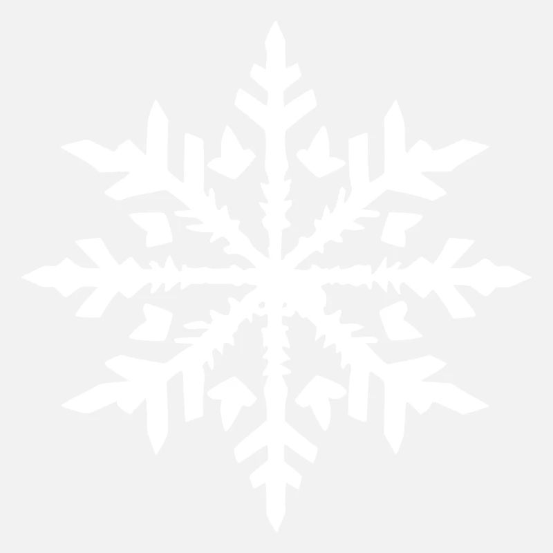 Snowflake Snow Winter Christmas Cold 10