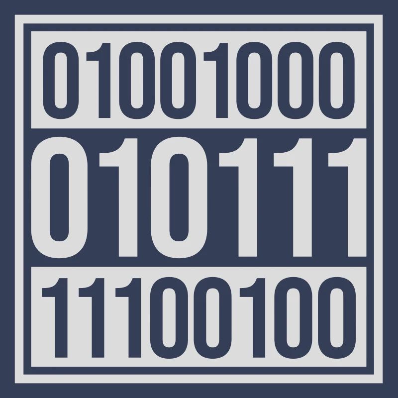 Binary Code Program Language