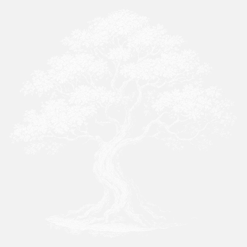 Bonsai