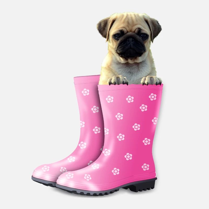 Mops