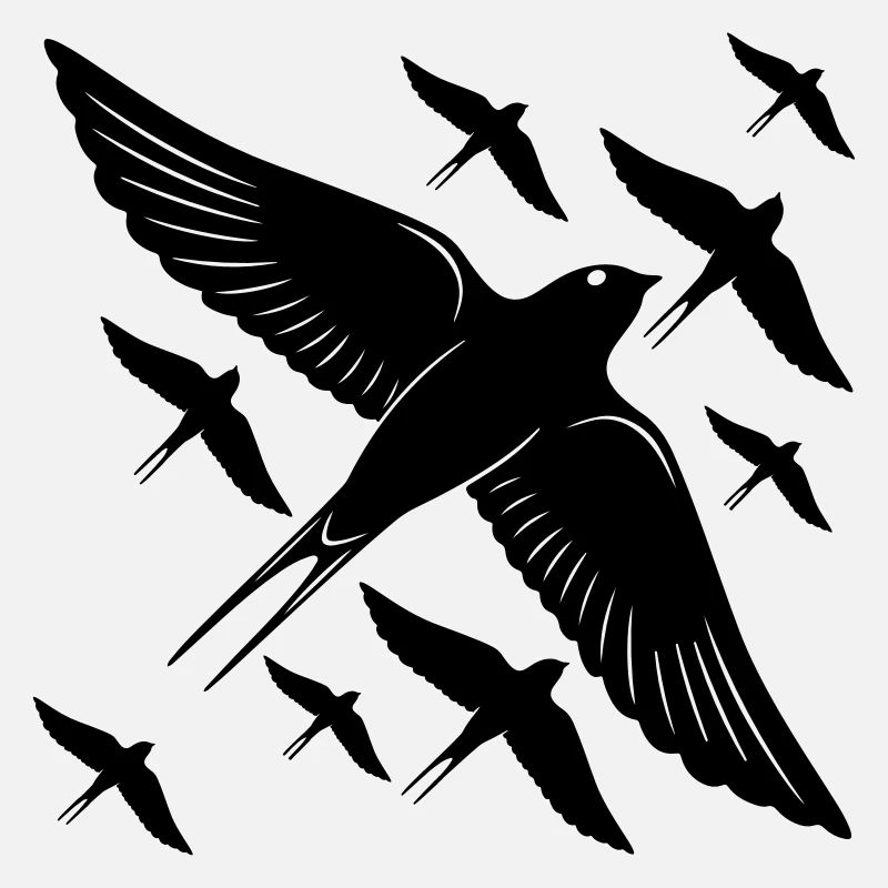 Birds Fly
