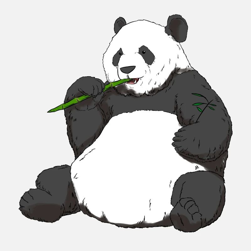 Giant Panda Cute Panda Bear Animal Lover