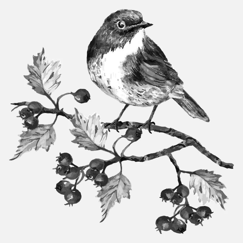Oiseau