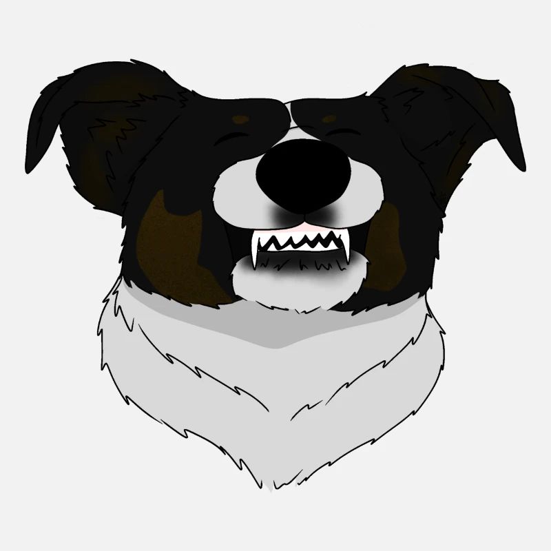 Border Collie Smile