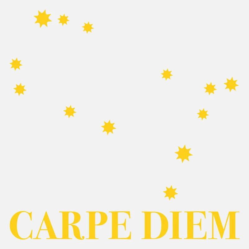 Carpe Diem nutze den Tag Sternbild Zwilling Gemini