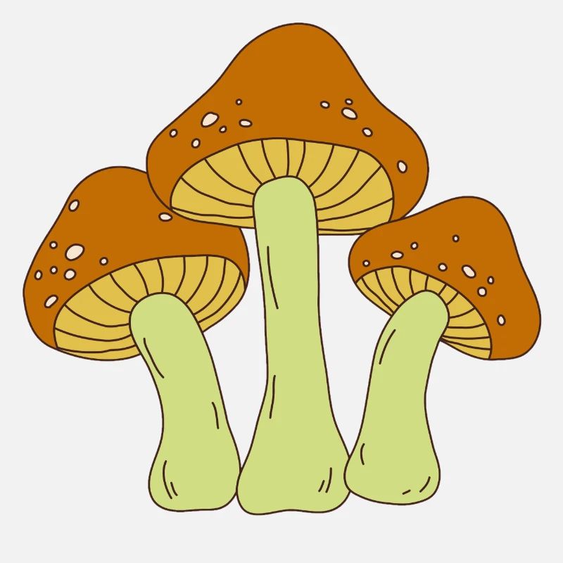 champignon