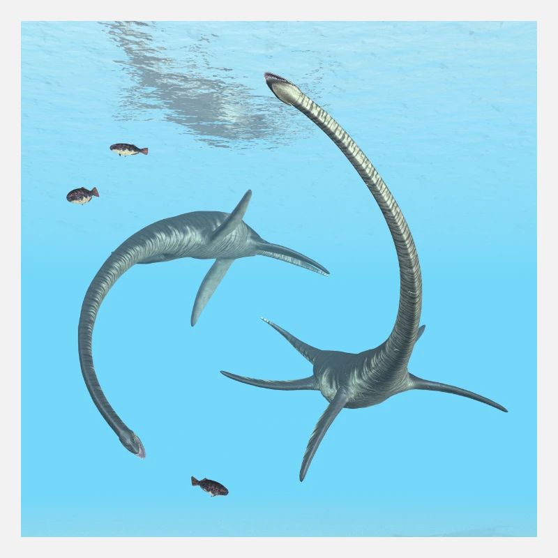 Plesiosaurier Elasmosaurus