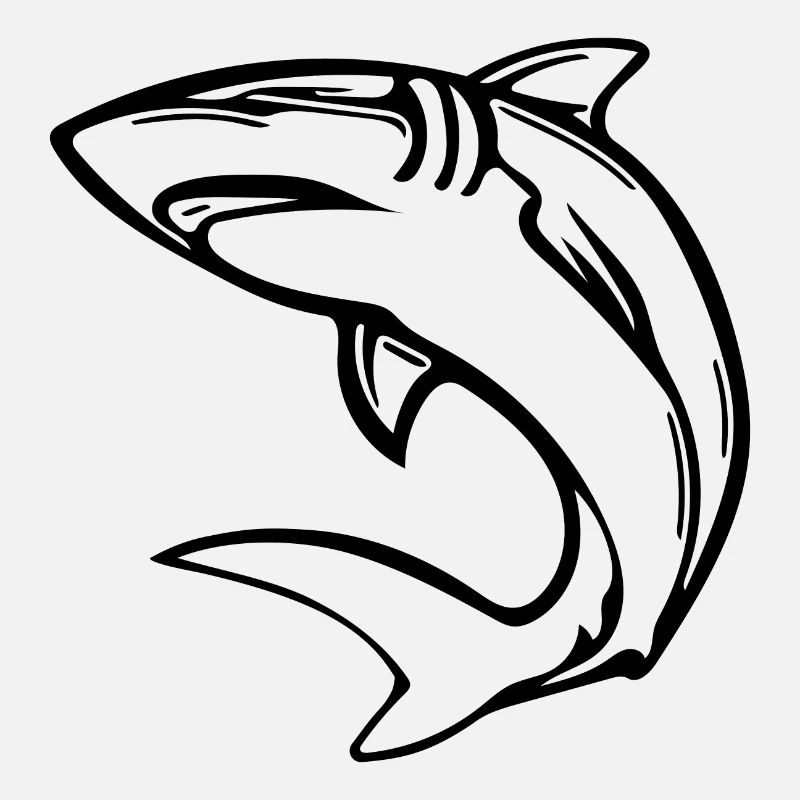 Elegant deep-sea shark