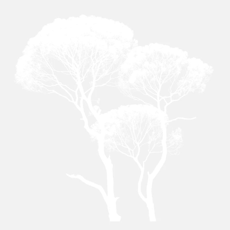 Tall Canopy Tree