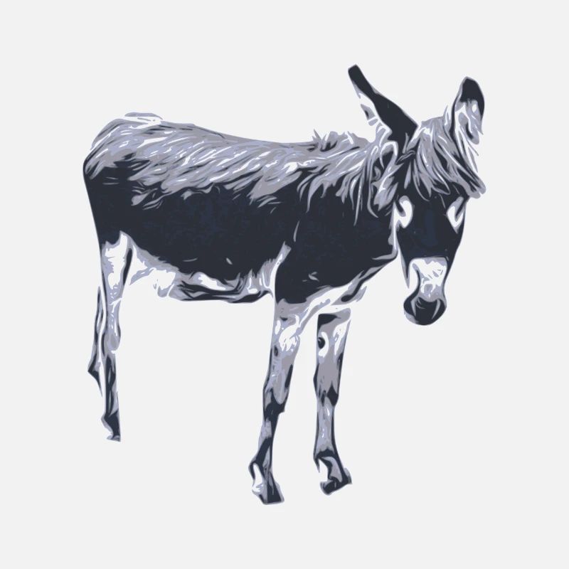 donkey