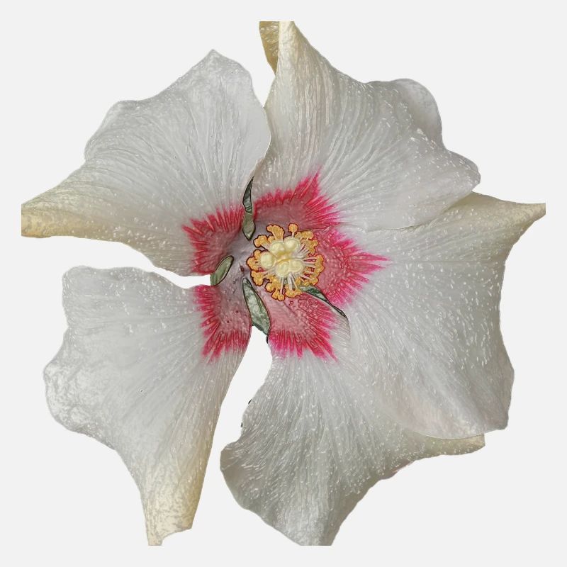 White Flower Red