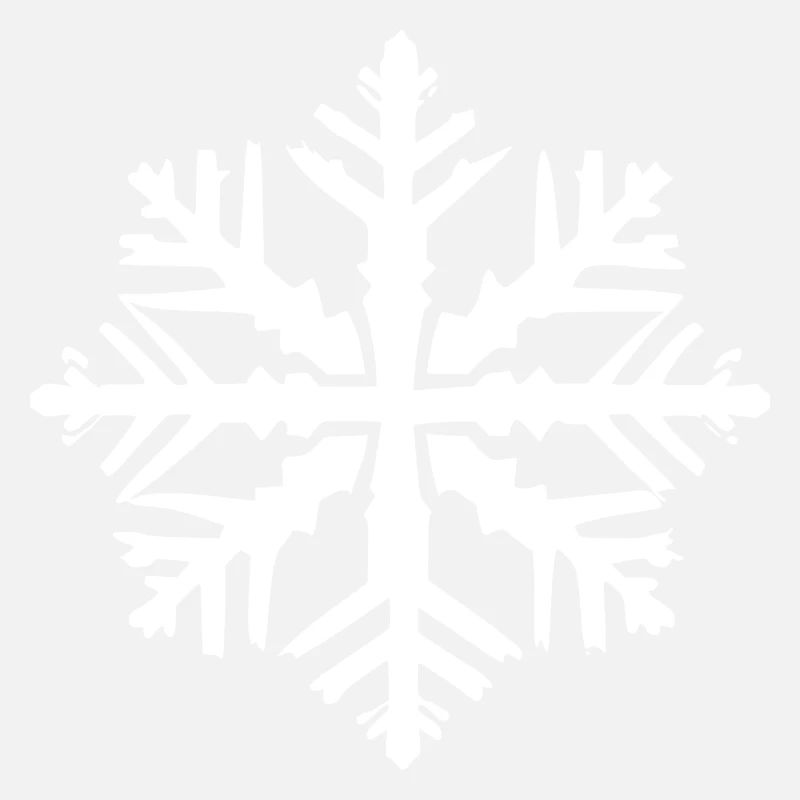 Snowflake Snow Winter Christmas Cold 12