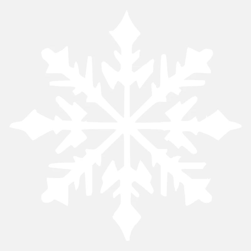 Snowflake Snow Winter Christmas Cold 9