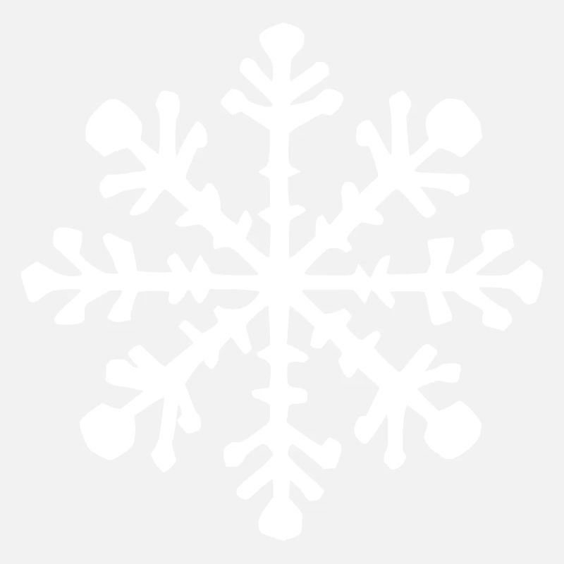 Snowflake Snow Winter Christmas Vector 12