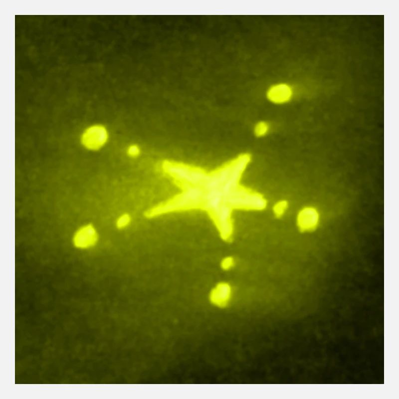 YELLOW STAR