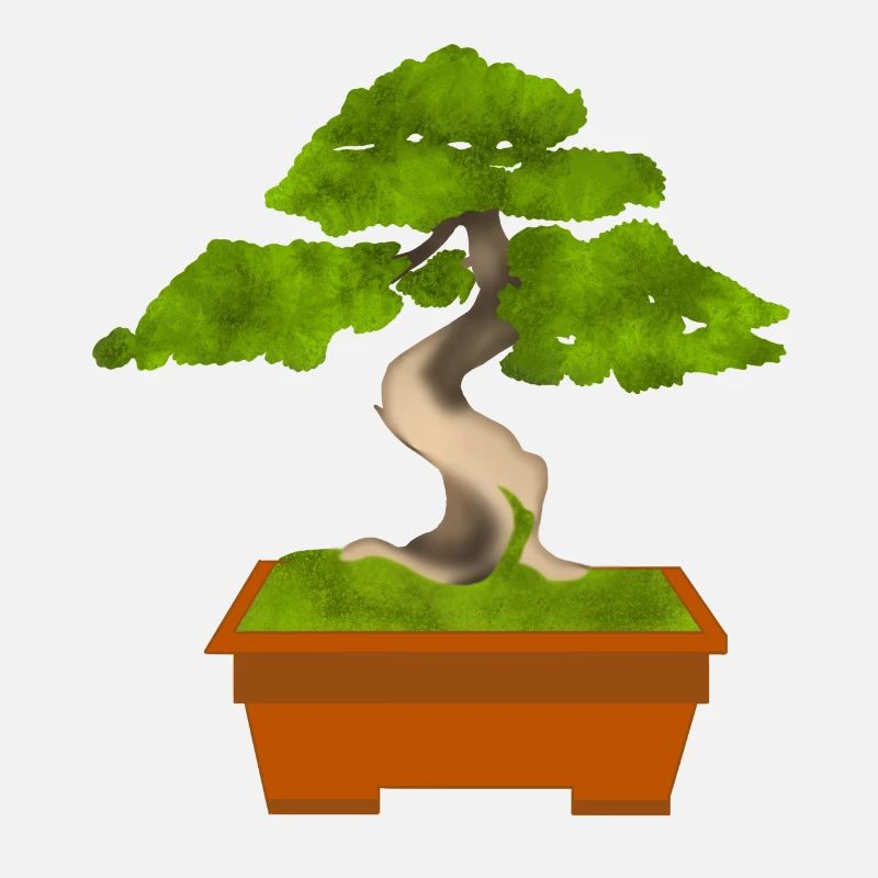 Bonsai
