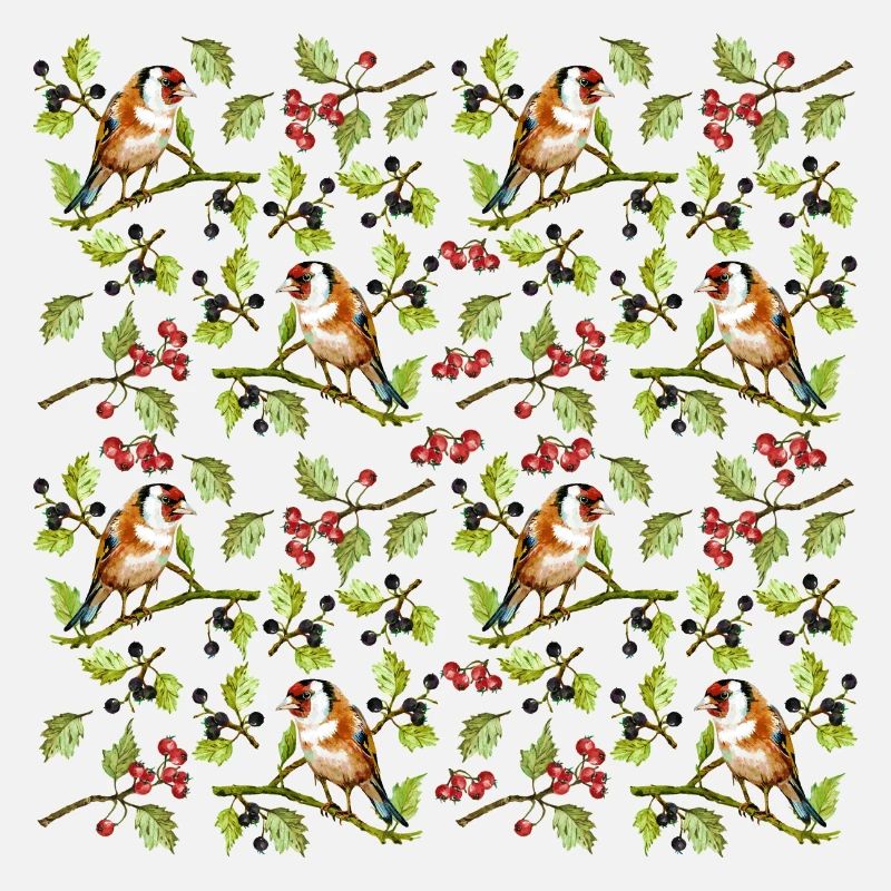 Oiseaux colorés