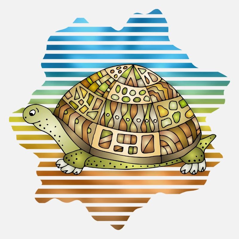 Tortoise