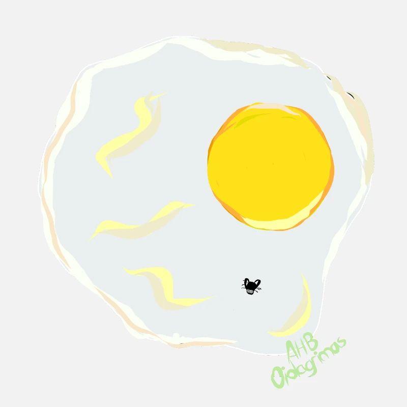 FRIED EGG v fly